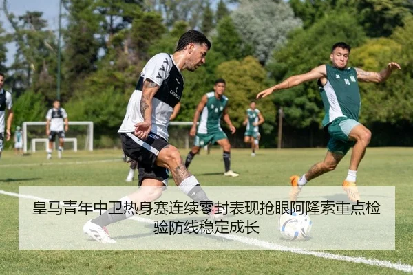 img_1784038113102_552_1_317.jpg